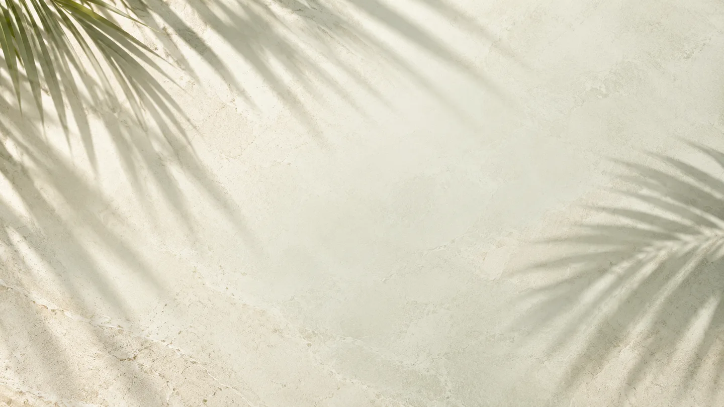 Pale stone surface crossed by soft palm-leaf shadows.